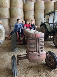 61_les_poussins_sur_le_tracteur