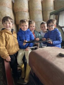 63_les_agneaux_sur_le_tracteur