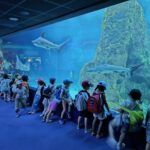tres-beau-voyage-de-fin-dannee-pour-la-maternelle-de-saint-joseph